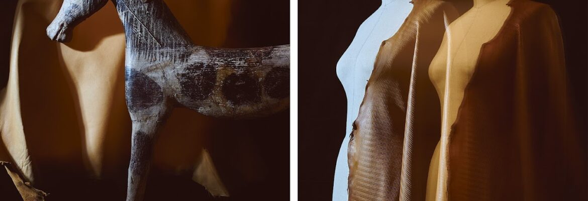 John Cizmas Photography, Inc.