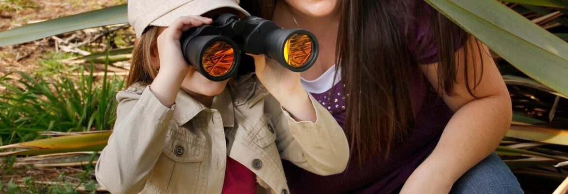 Andrews Artistry – Digital Imaging Artistic Services