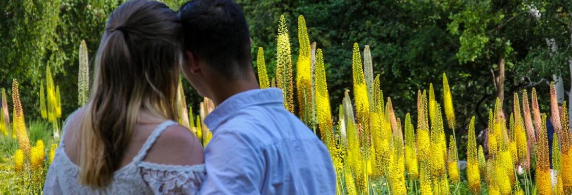 Queen Cobra Photography LLC