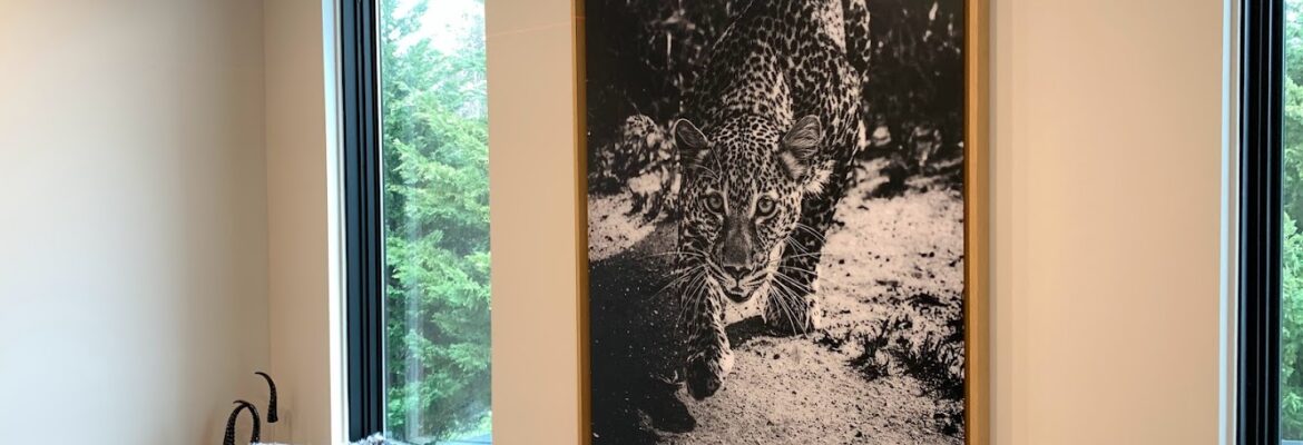 DecoNstall Bethesda MD Picture hanging and Art installer