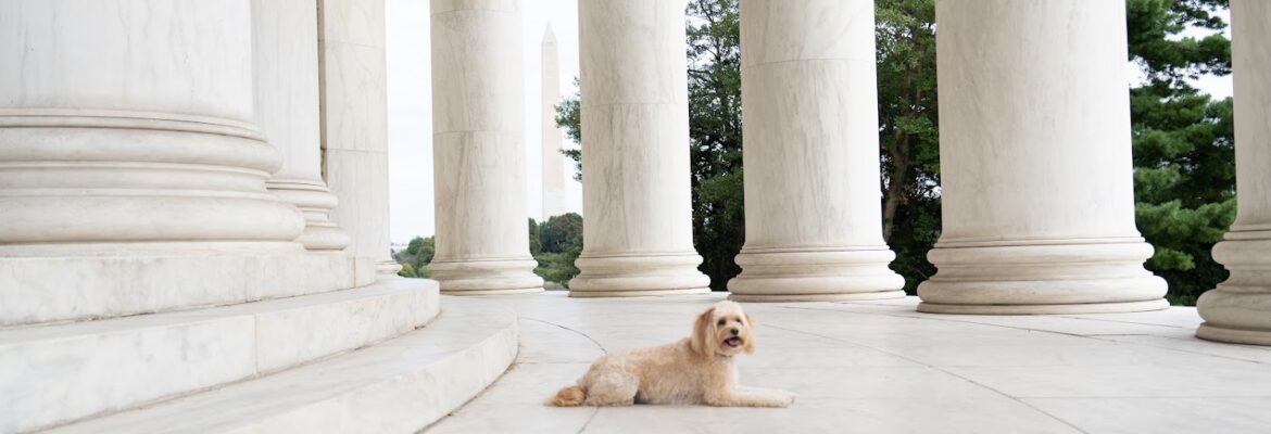 District Cooper Photography