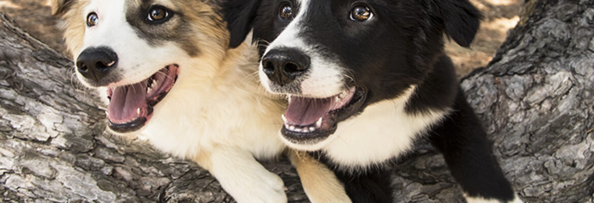 Vera Storman Photography