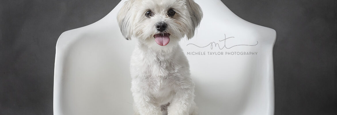 Michele Taylor Photography