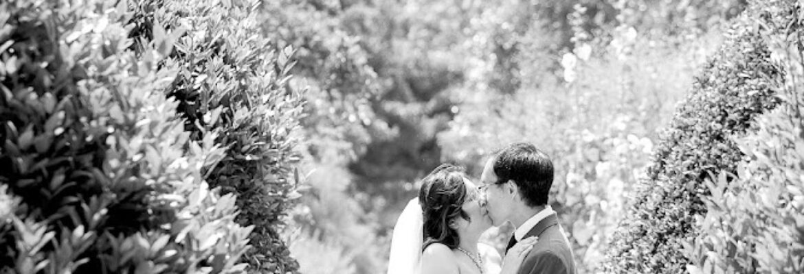 Brooke Tobin Photography
