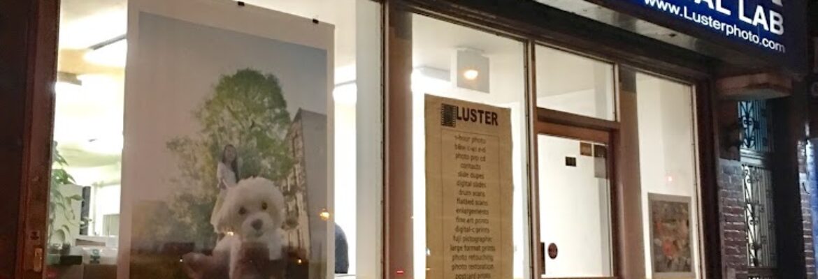 Luster Photo & Digital Inc