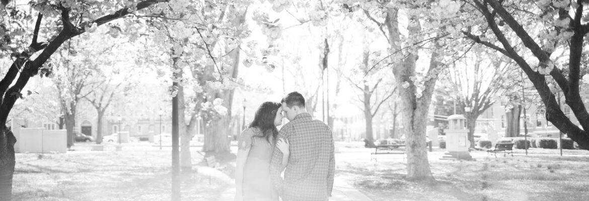 Katy Murray Photography, LLC