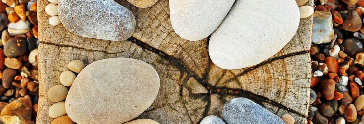 FootPrint Fotos