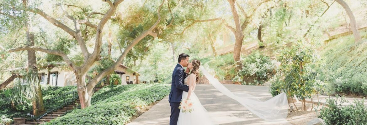 Sun & Sparrow Photography