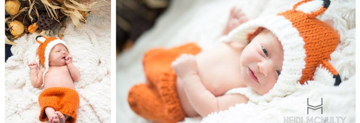 Heidi McNulty Photo & Design