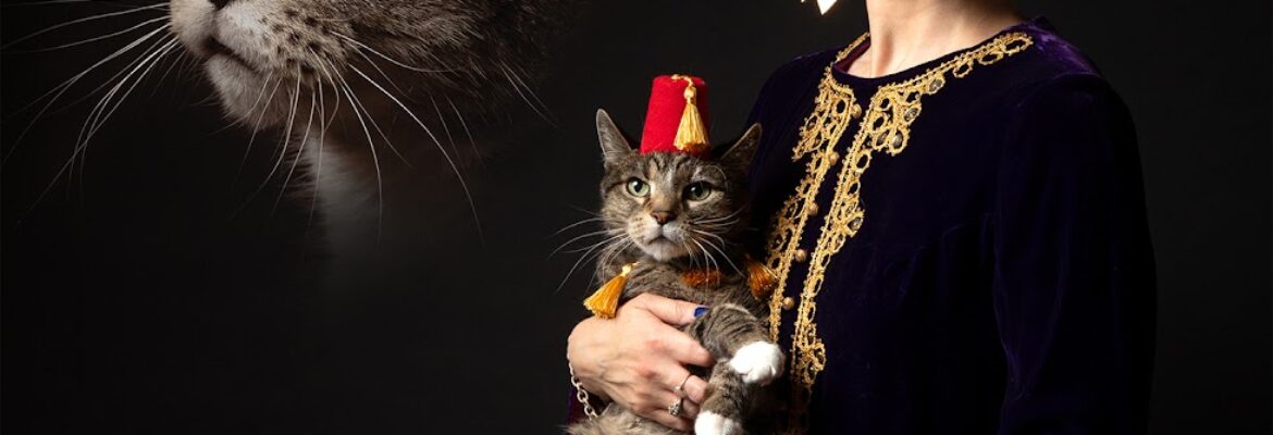 Danielle Spires Photography