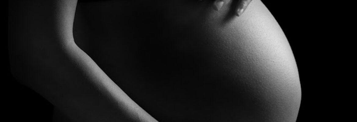 Denise Demarest Photography