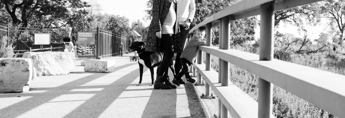 Beth Healy Photography