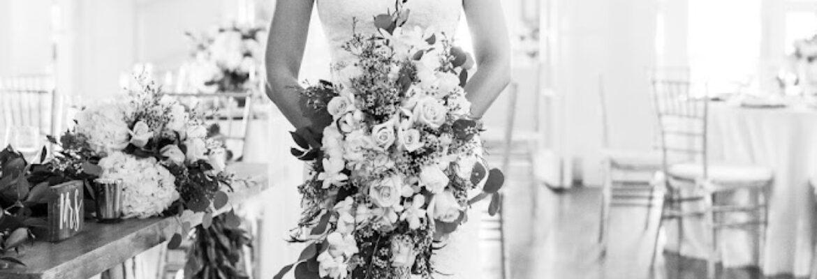 Angela Mallett Photography