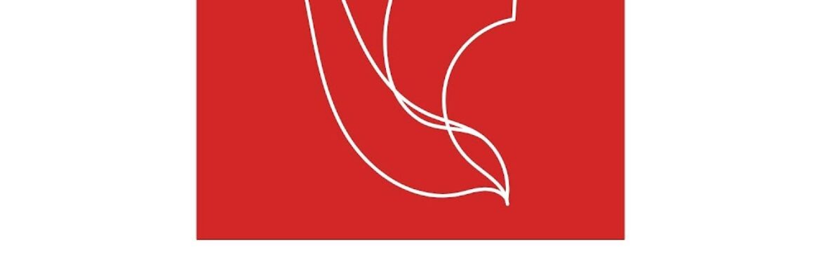 Knocking Bird Creative