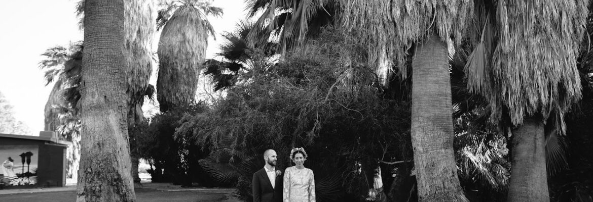 The Shalom Imaginative