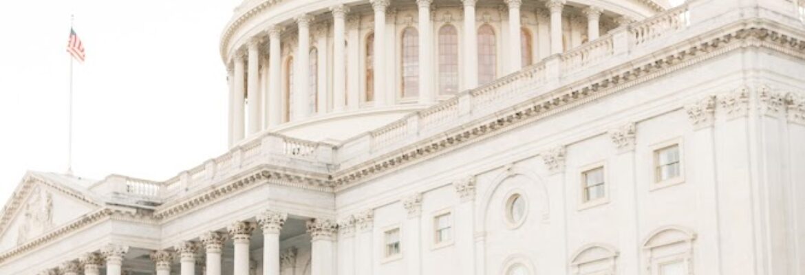 Alicia Lacey Photography