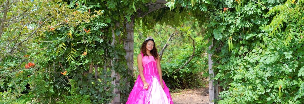 Mr. Blue Video & Photography