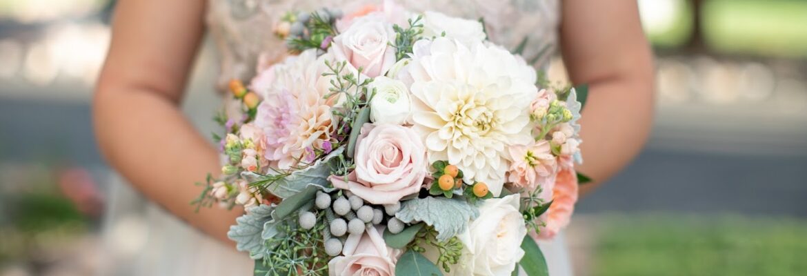 Katie Martin Studios