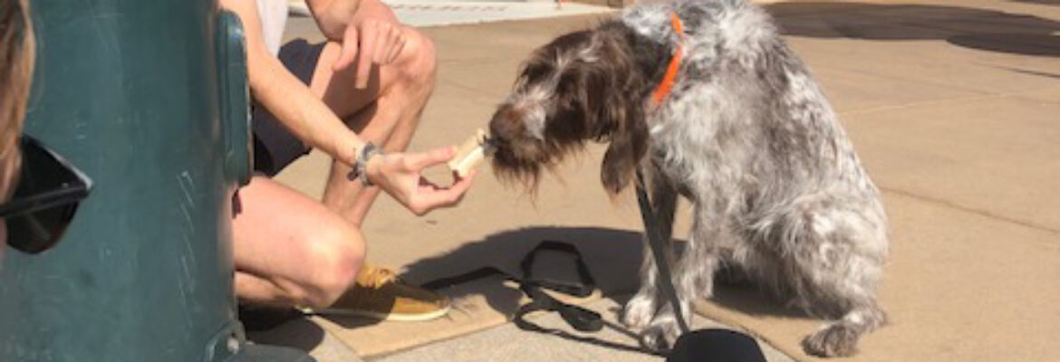 Karen Hoglund Photography