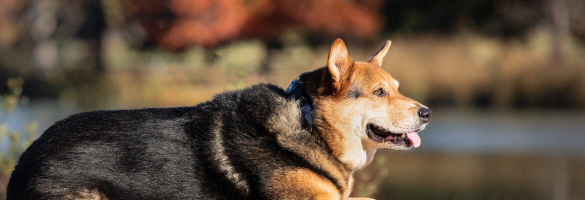 Gaelle Glass Photography