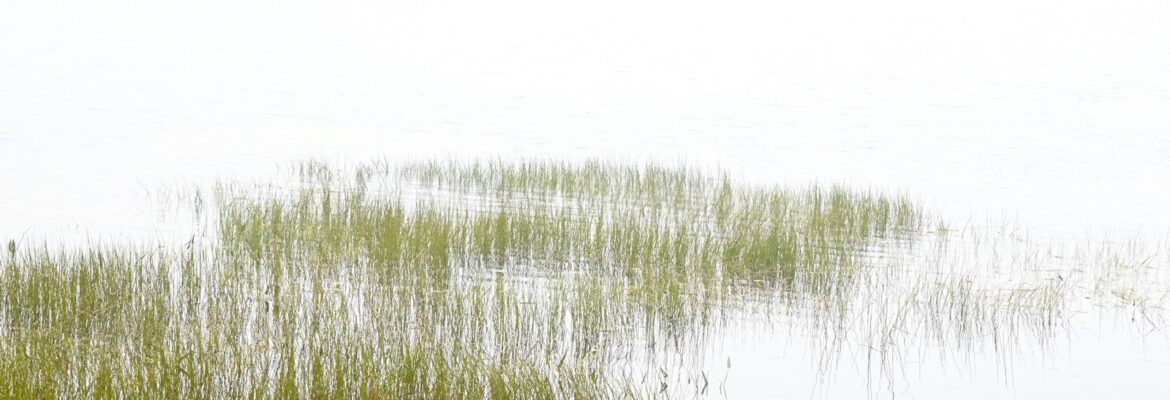 Howard Clare Photography