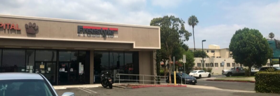 Freestyle Photo & Imaging Supplies