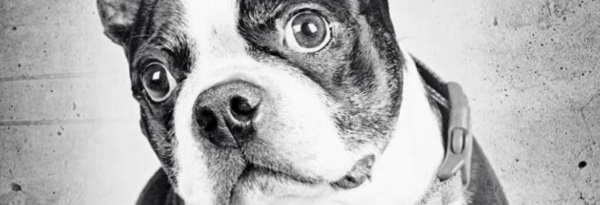 Gloss Photography Studios