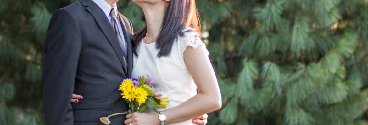 US Capitol Elopements