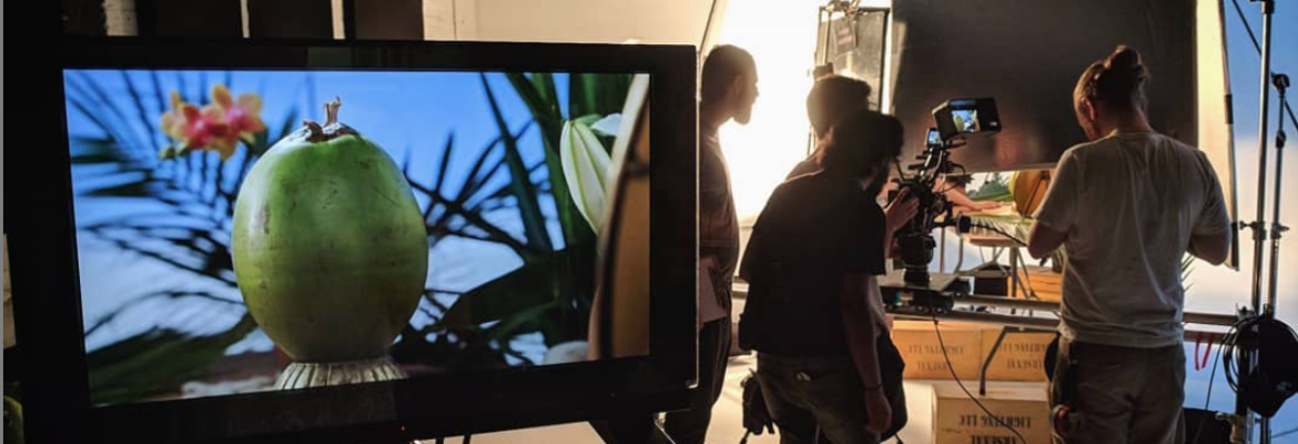 Tiny Giraffe Pictures