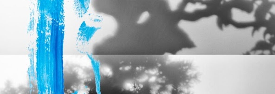 Roger Stevens Photography