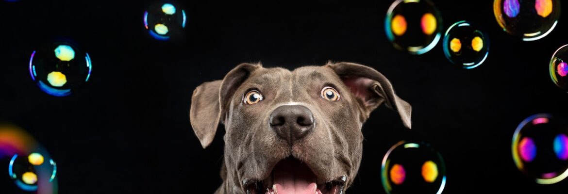 Candice C. Cusic Photography