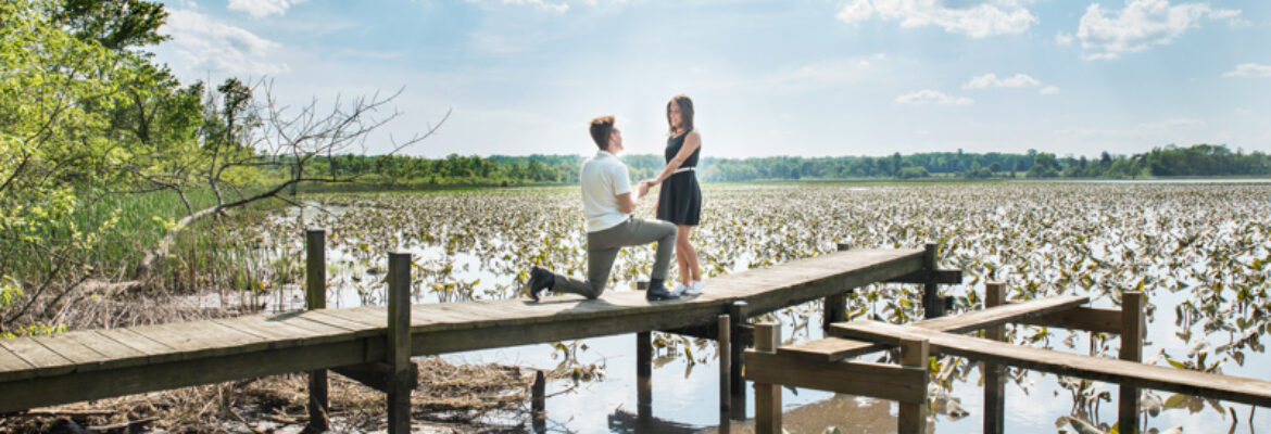 Irina Whitmer Photography