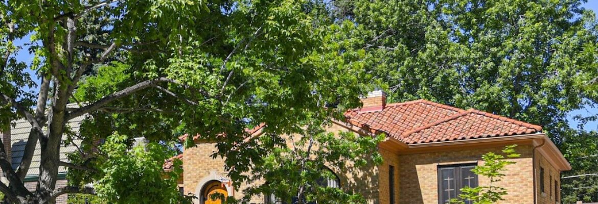 Colorstream Photography