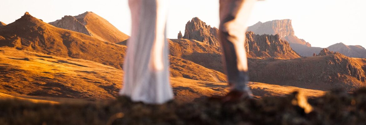 River and Root Photography