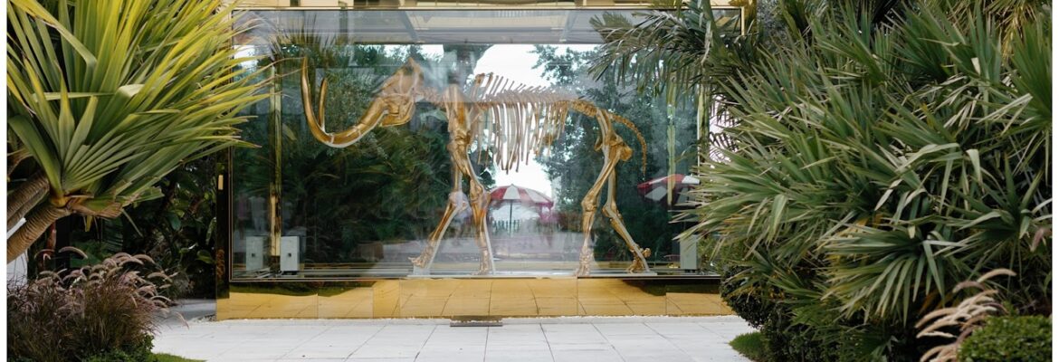 Jessica Vilchez Photo