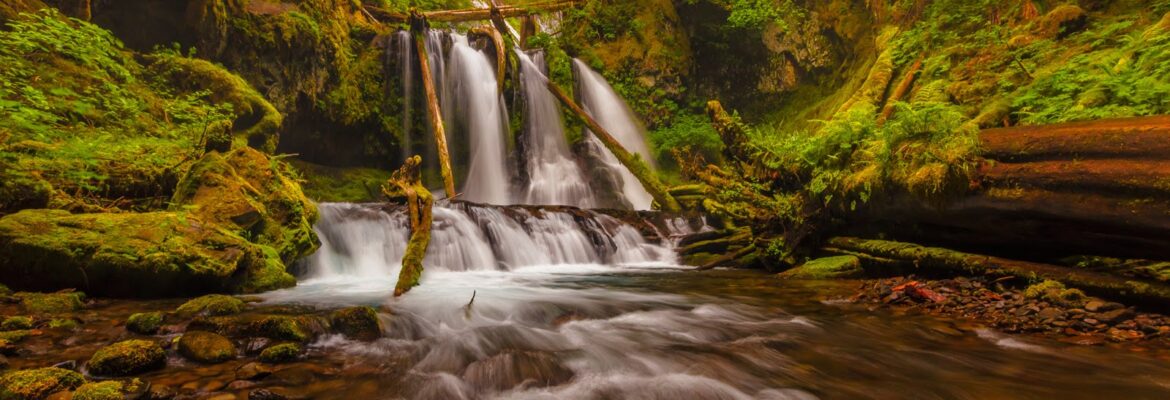 Joseph C. Filer Photography