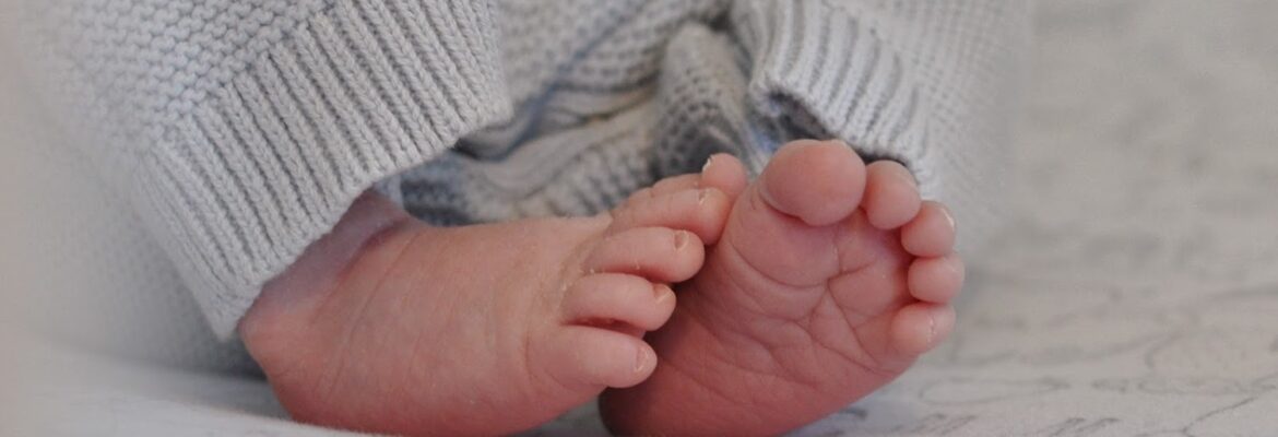 Jamie Masselink Photography