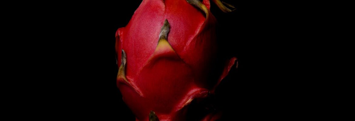 Brendan McCabe Photography