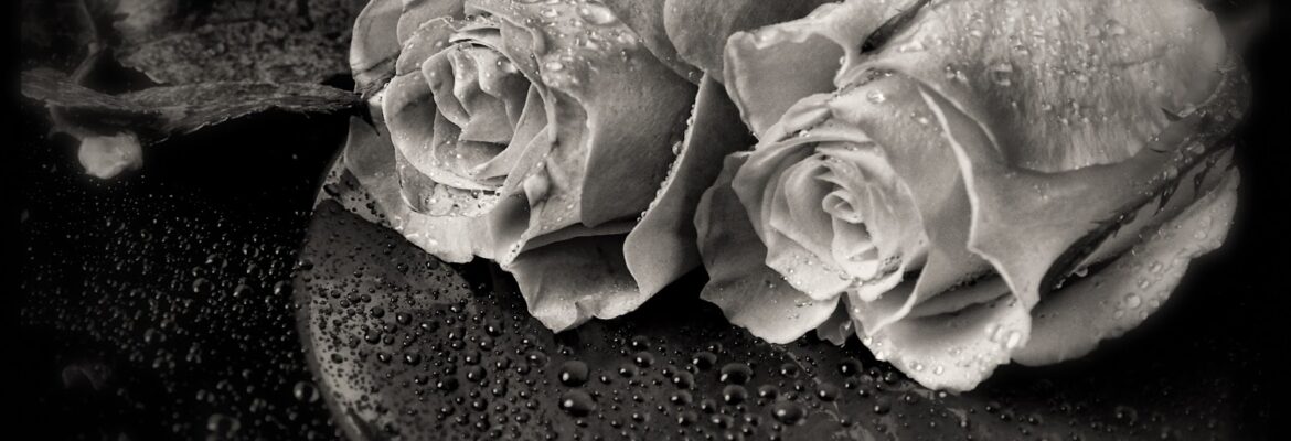 Jeremiah’s Photography