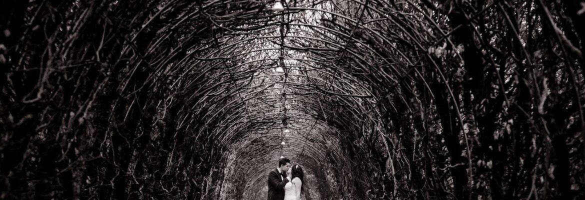 Artlook – City Hall Wedding Photographer