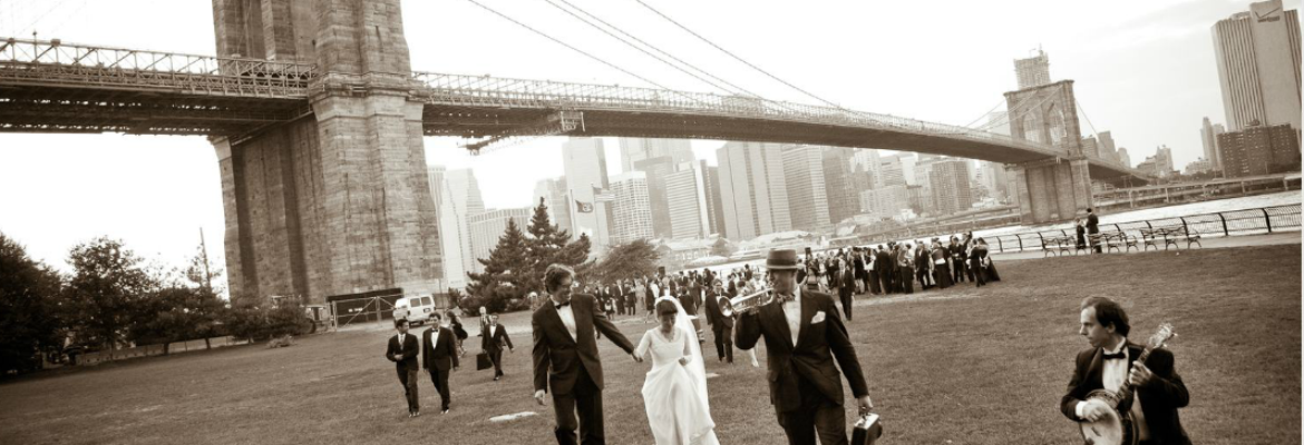 Dave Robbins Photography