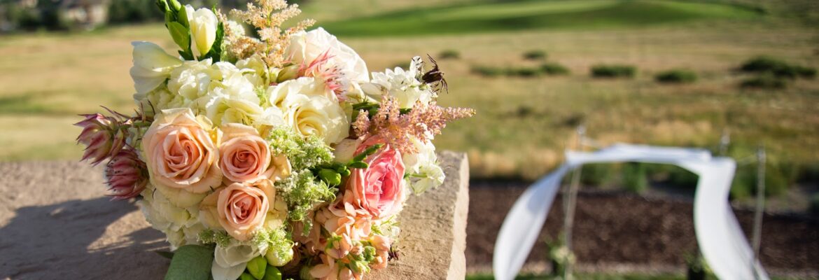 Erica Scott Photography