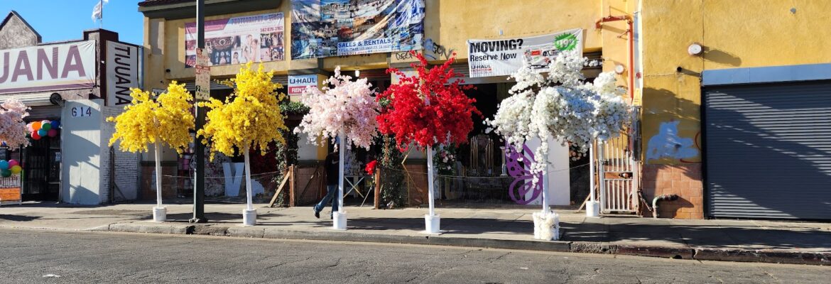 Studios George Martinez Photography