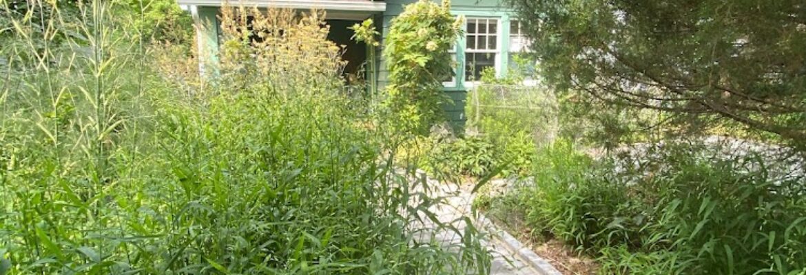 Dill and Company Inc.