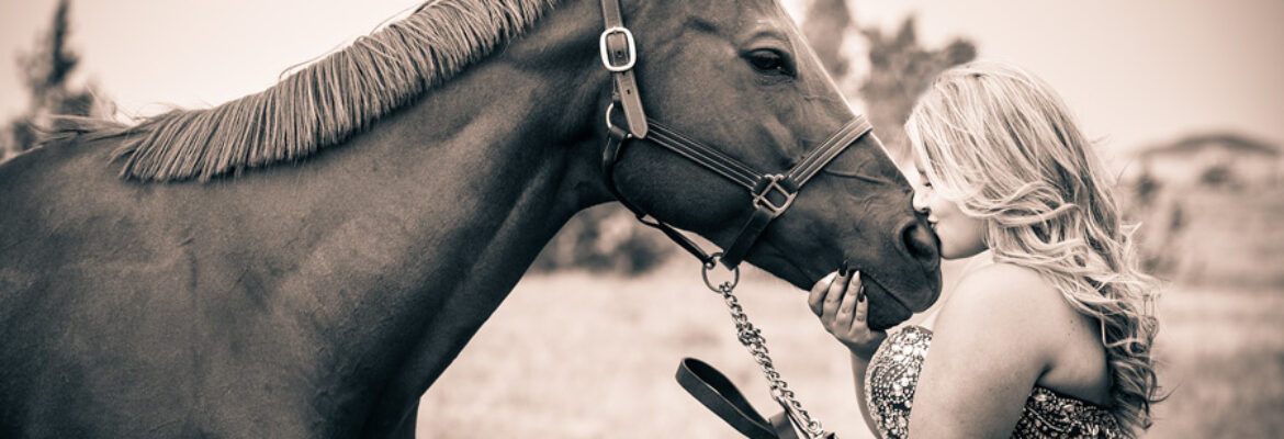 Mark Stevens Photography