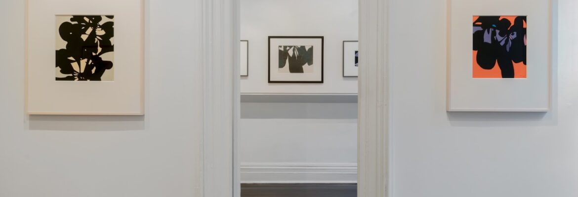 L. Parker Stephenson Photographs