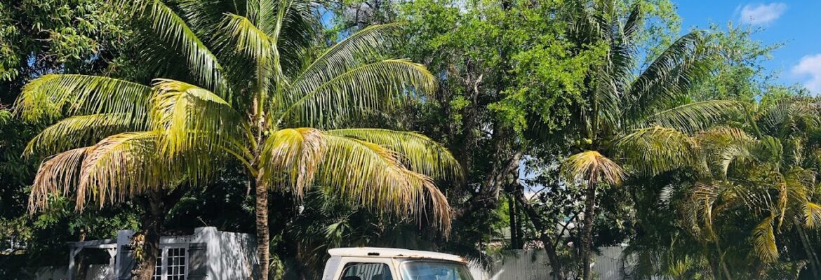 Shooting Stardust Studio