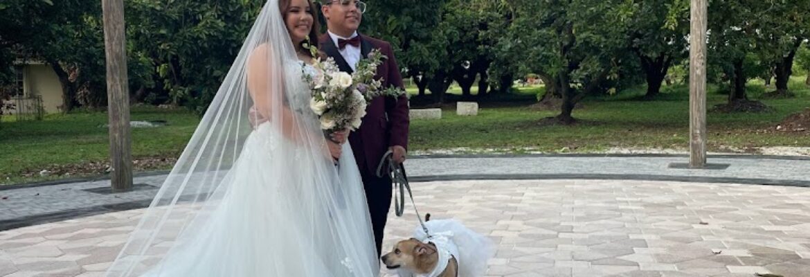 BALANCE BLANCO WEDDINGS