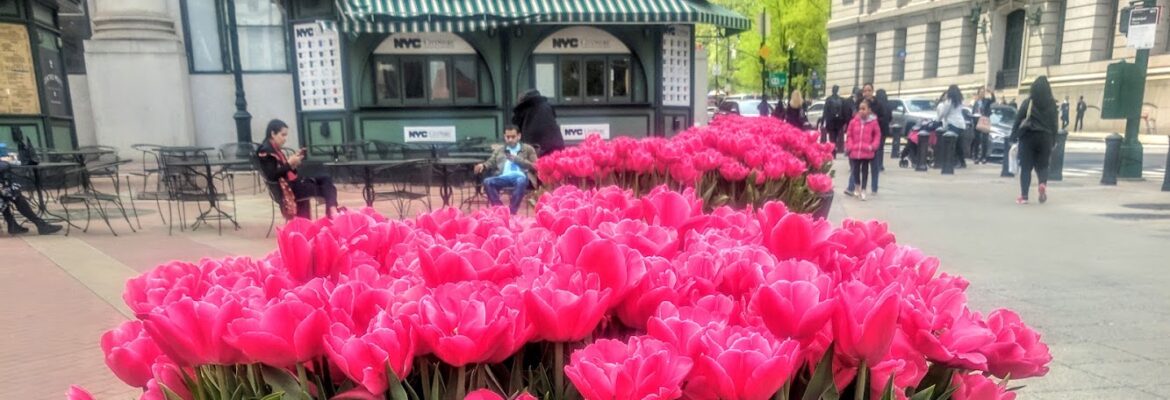 Beth Schiffer Fine Art Printing