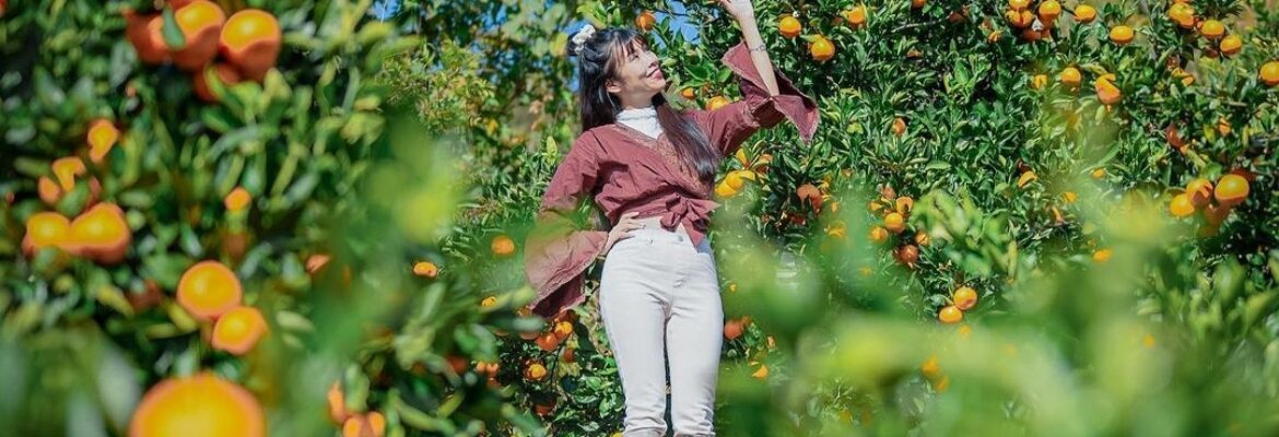 Jeffery Salter Photography